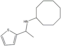 N-[1-(thiophen-2-yl)ethyl]cyclooctanamine Struktur