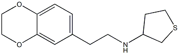 N-[2-(2,3-dihydro-1,4-benzodioxin-6-yl)ethyl]thiolan-3-amine Struktur