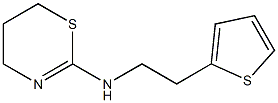 N-[2-(thiophen-2-yl)ethyl]-5,6-dihydro-4H-1,3-thiazin-2-amine Struktur