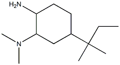 N-[2-amino-5-(1,1-dimethylpropyl)cyclohexyl]-N,N-dimethylamine Struktur