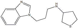 N-[3-(1H-1,3-benzodiazol-1-yl)propyl]thiolan-3-amine Struktur