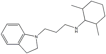 N-[3-(2,3-dihydro-1H-indol-1-yl)propyl]-2,6-dimethylcyclohexan-1-amine Struktur