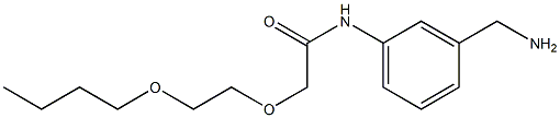 N-[3-(aminomethyl)phenyl]-2-(2-butoxyethoxy)acetamide Struktur