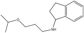 N-[3-(propan-2-yloxy)propyl]-2,3-dihydro-1H-inden-1-amine Struktur