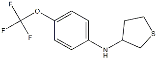 N-[4-(trifluoromethoxy)phenyl]thiolan-3-amine Struktur