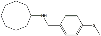 N-{[4-(methylsulfanyl)phenyl]methyl}cyclooctanamine Struktur