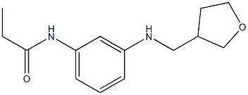 N-{3-[(oxolan-3-ylmethyl)amino]phenyl}propanamide Struktur