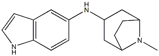 N-{8-methyl-8-azabicyclo[3.2.1]octan-3-yl}-1H-indol-5-amine Struktur