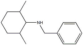 N-benzyl-2,6-dimethylcyclohexan-1-amine Struktur