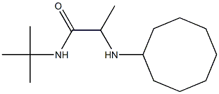 N-tert-butyl-2-(cyclooctylamino)propanamide Struktur