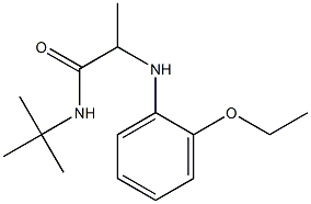 N-tert-butyl-2-[(2-ethoxyphenyl)amino]propanamide Struktur