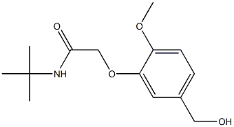 N-tert-butyl-2-[5-(hydroxymethyl)-2-methoxyphenoxy]acetamide Struktur