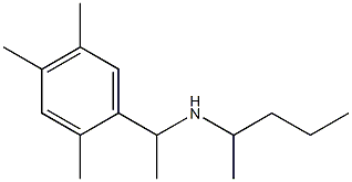 pentan-2-yl[1-(2,4,5-trimethylphenyl)ethyl]amine Struktur