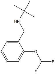 tert-butyl({[2-(difluoromethoxy)phenyl]methyl})amine Struktur