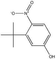 3-tert-butyl-4-nitrophenol Struktur