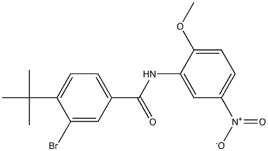 3-bromo-4-(tert-butyl)-N-(2-methoxy-5-nitrophenyl)benzamide Struktur