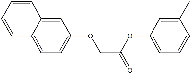 3-methylphenyl 2-(2-naphthyloxy)acetate Struktur