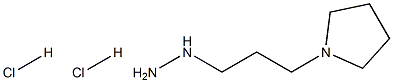 1-(3-(Pyrrolidin-1-yl)propyl)hydrazine dihydrochloride ,97% Struktur