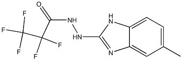 2-(5-Methyl-1H-benzimidazol-2-yl)-1-(pentafluoropropionyl)hydrazine Struktur