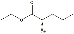 [S,(-)]-2-Hydroxyvaleric acid ethyl ester Struktur