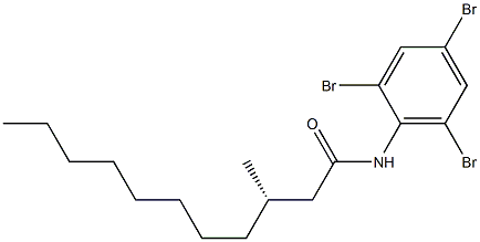 [S,(-)]-N-(2,4,6-Tribromophenyl)-3-methylundecanamide Struktur