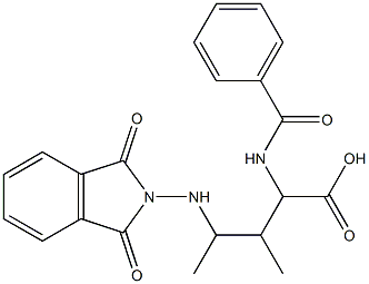 2-(Benzoylamino)-4-[(1,3-dioxo-2H-isoindol-2-yl)amino]-3,4-dimethylbutyric acid Struktur