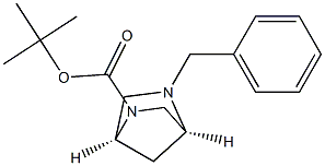 (1S,4S)-5-Benzyl-2-tert-butoxycarbonyl-2,5-diazabicyclo[2.2.1]heptane Struktur