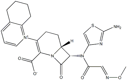 (6R,7S)-7-[(2-Aminothiazol-4-yl)(methoxyimino)acetylamino]-8-oxo-3-[(5,6,7,8-tetrahydroquinolinium)-1-yl]-1-azabicyclo[4.2.0]oct-2-ene-2-carboxylate Struktur