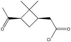 cis-Pinonoyl chloride Struktur