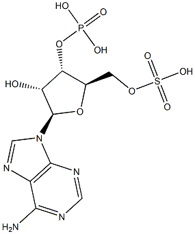 Adenosine 3'-phosphoric acid 5'-sulfuric acid Struktur