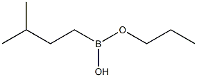 Isopentylboronic acid propyl ester Struktur