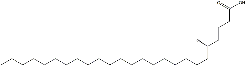 [S,(-)]-5-Methylpentacosanoic acid Struktur