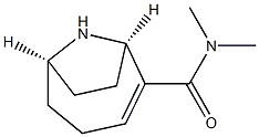 (1R,6R)-N,N-Dimethyl-9-azabicyclo[4.2.1]non-2-ene-2-carboxamide Struktur