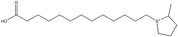 2-Methyl-1-(12-carboxydodecyl)thiolan-1-ium Struktur