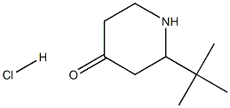 2-tert-butylpiperidin-4-one HCl Struktur