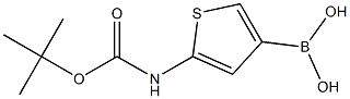 5-(tert-butoxycarbonylamino)thiophen-3-ylboronic acid Struktur