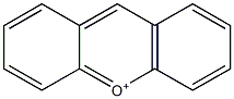 Xanthii Fructus Struktur