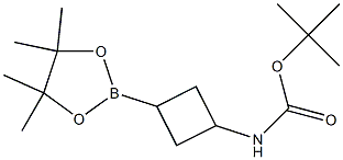 tert-butyl N-[3-(tetramethyl-1,3,2-dioxaborolan-2-yl)cyclobutyl]carbamate Struktur