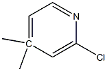 2-chloro-4-methyl-4-methylpyridine Struktur