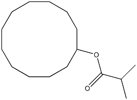 CYCLODODECYL ISO-BUTYRATE Struktur