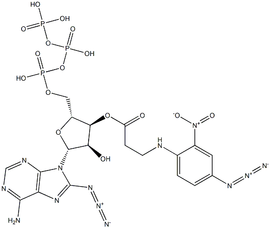 3'(O)-(3-(N-(4-azido-2-nitrophenyl)amino)propionyl)-8-azidoadenosine 5'-triphosphate Struktur