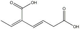 2,4-HEXADIENE-1,4-DICARBOXYLICACID Struktur