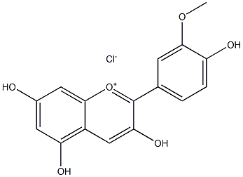 3'-METHOXY-4',3,5,7-TETRAHYDROXYFLAVYLIUMCHLORIDE Struktur