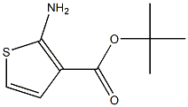 2-AMINO-3-T-BUTOXY CARBONYL THIOPHENE Struktur