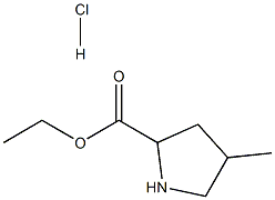 Ethyl 4-methyl-2-pyrrolidinecarboxylate HCl Struktur