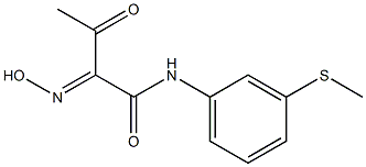 2-HYDROXYIMINO-N-(3-METHYLSULFANYL-PHENYL)-3-OXO-BUTYRAMIDE Struktur