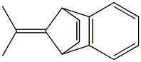 11-(1-methylethylidene)tricyclo[6.2.1.0~2,7~]undeca-2(7),3,5,9-tetraene Struktur