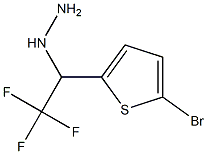 (1-(5-bromothiophen-2-yl)-2,2,2-trifluoroethyl)hydrazine Struktur