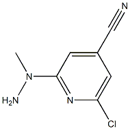 2-(1-methylhydrazinyl)-6-chloropyridine-4-carbonitrile Struktur