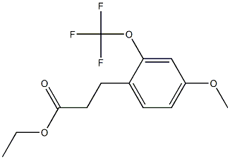 ethyl 3-(4-methoxy-2-(trifluoromethoxy)phenyl)propanoate Struktur